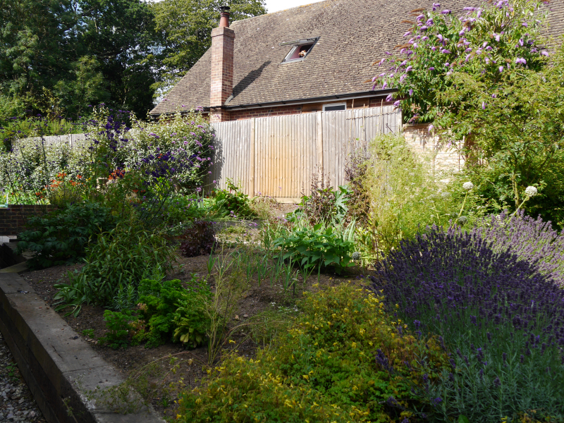 Kitchen Garden : picture to follow, please scroll down